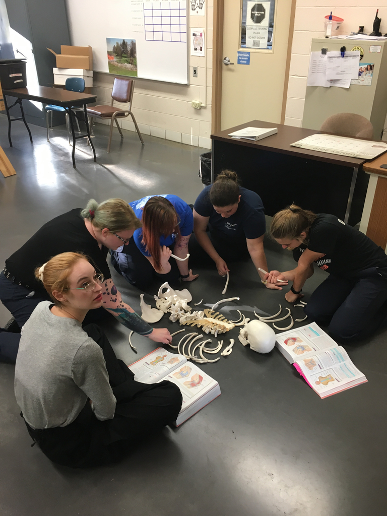 EMT class and the human skeleton system
